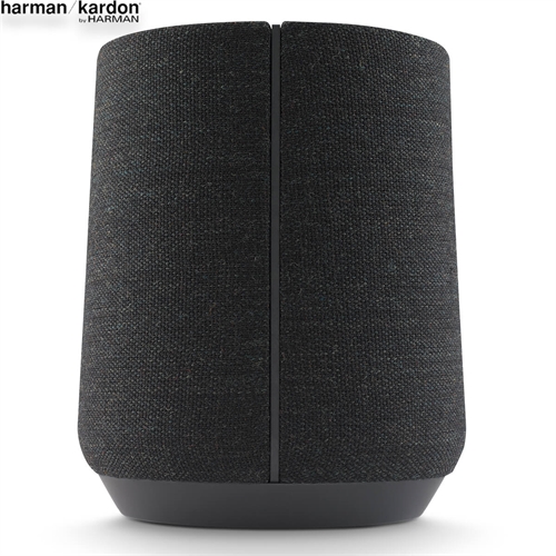 Loa Harman Kardon Citation 300 10